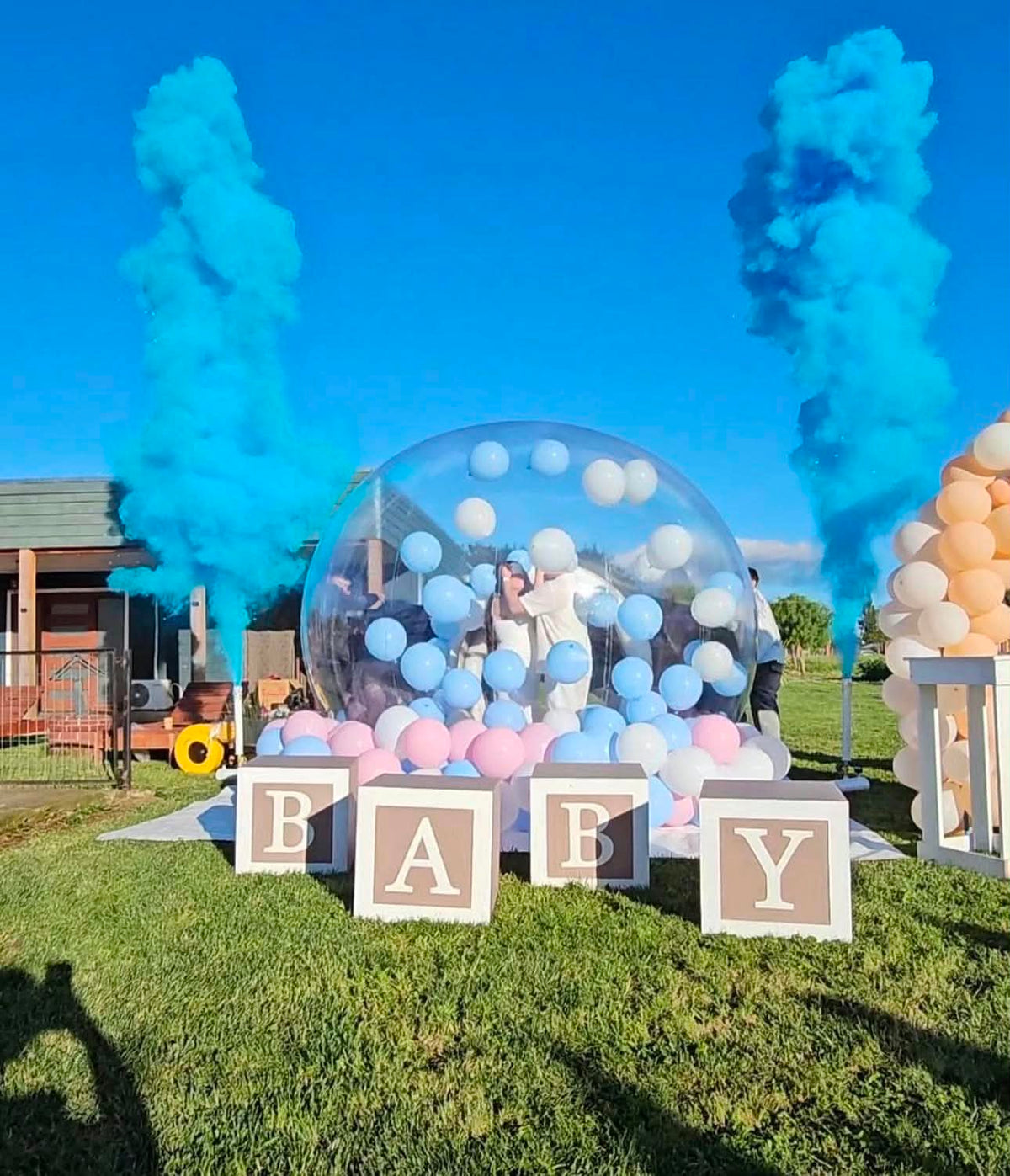 Gender Reveal