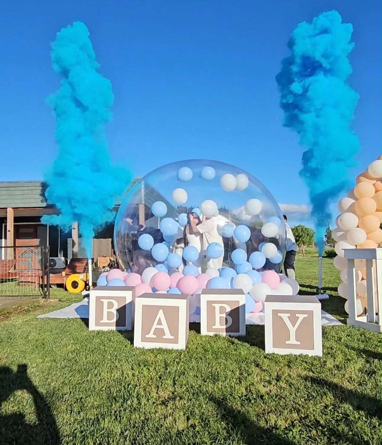 Gender Reveal