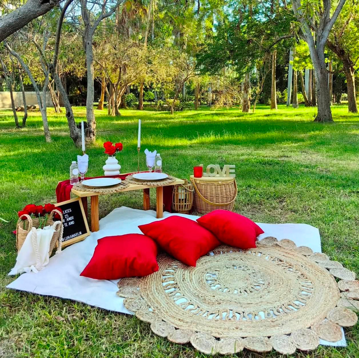 Picnic and Bubble Tent Set Up