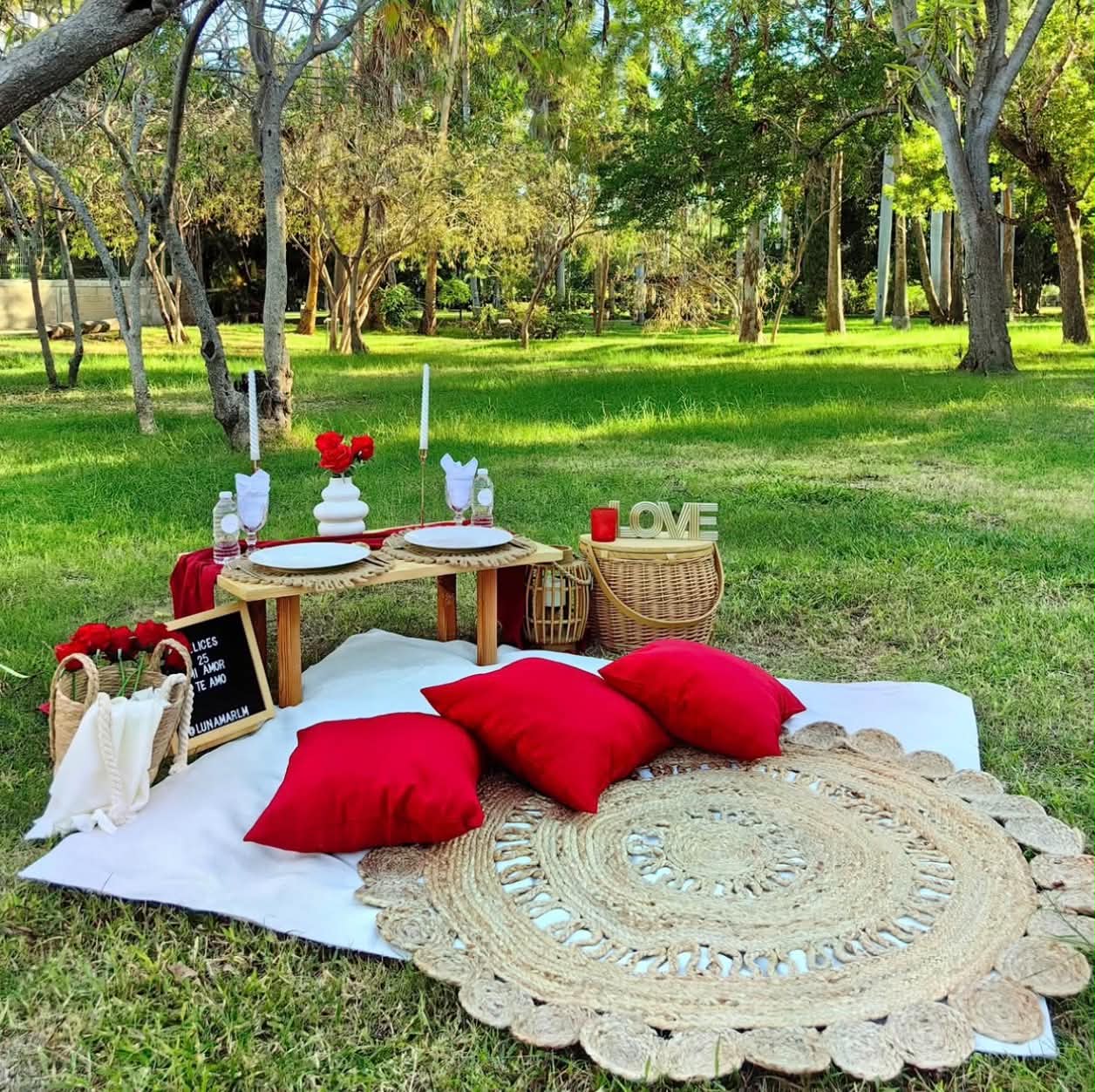 Picnic Setup