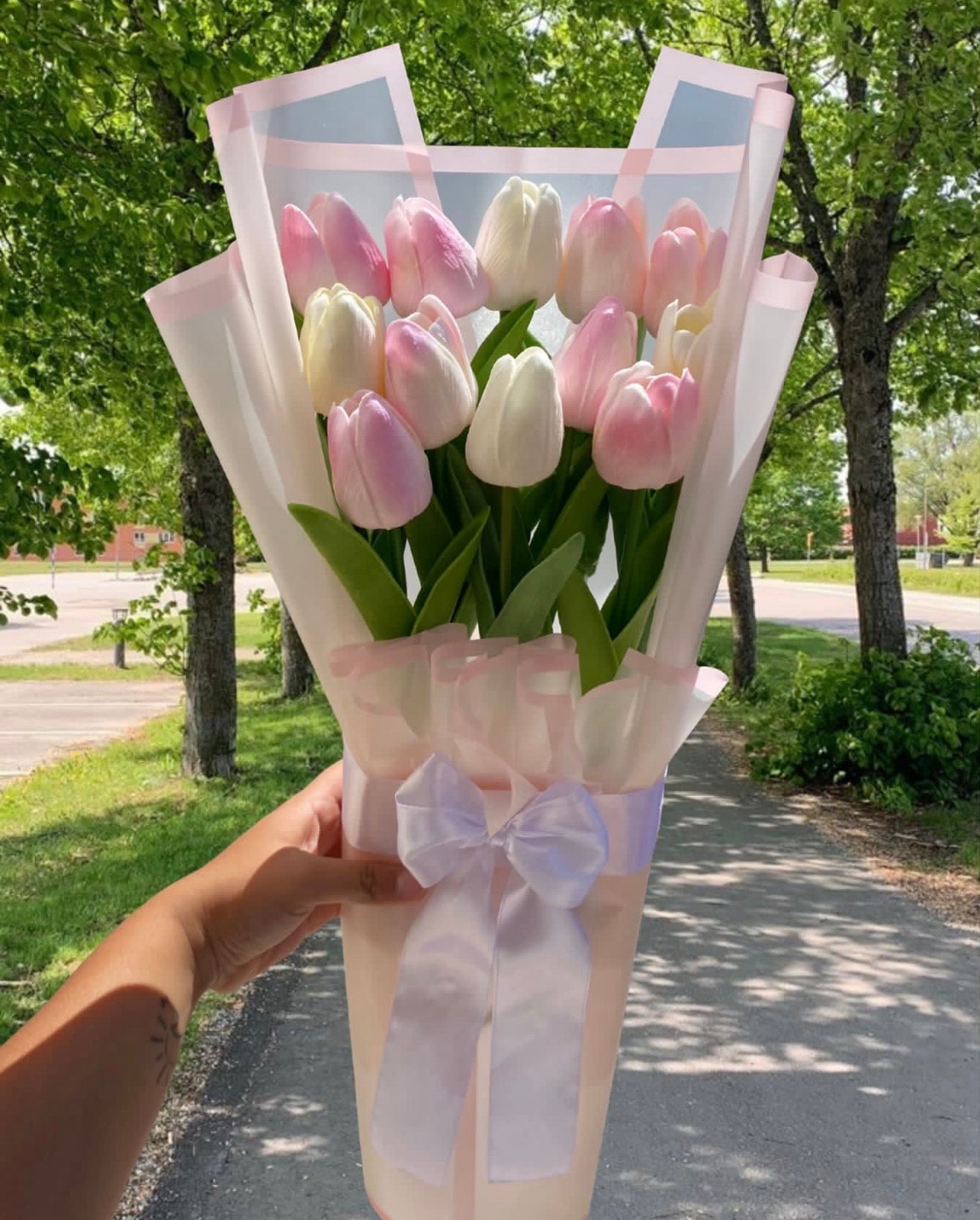 12 count Tulips